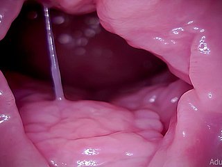 Cervice, vore, gigantess, asmr