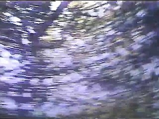 ブラジルの学生は吸う。