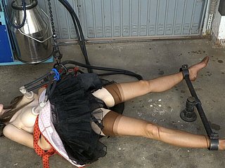 Peitos de ordenha em nylons