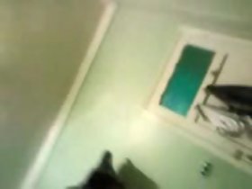 sharmota Mısır büyük gumshoe tarafından lanet oynayan ve