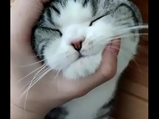 được rồi được rồi