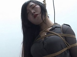 中国のシャオヤオ 352
