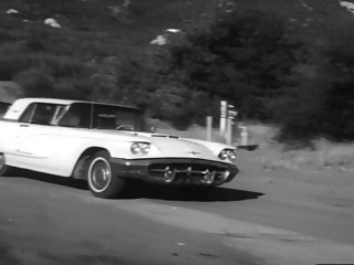 الإناث للتعذيب (1965)