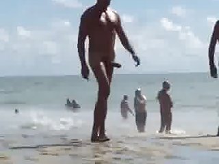 Verga grande