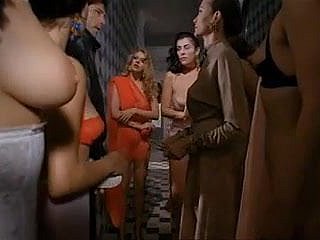 Paprika (1991) di Tinto Reassurance
