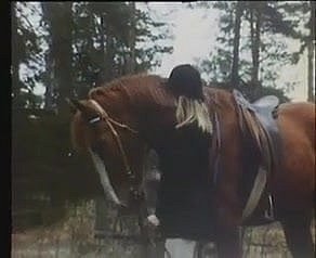 ヴィンテージスウェーデンフリック